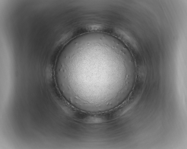 X0000110910545200906251359