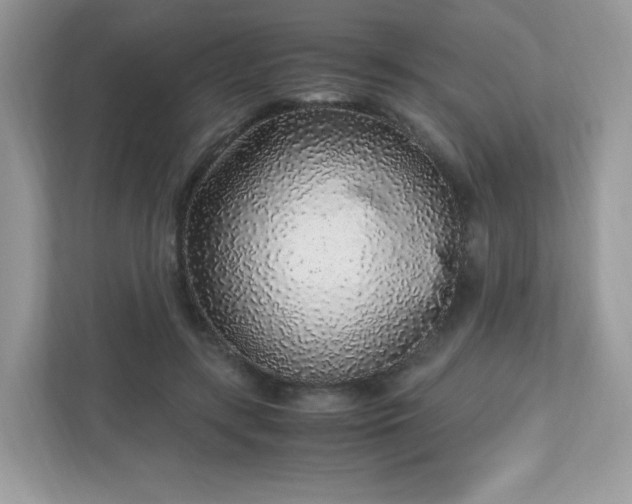 X0000110910547200906251359