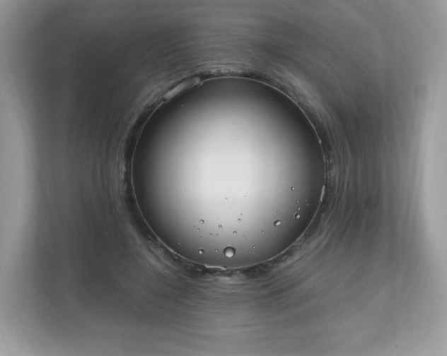 X0000110910548200906251359