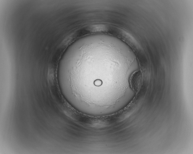 X0000110910549200906251359