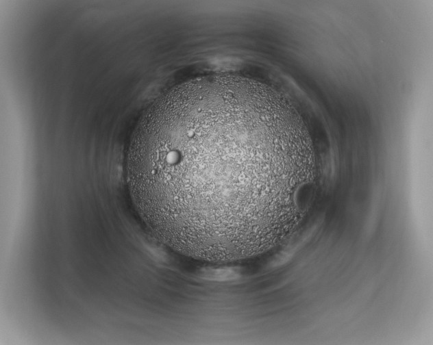 X0000110910553200906251400