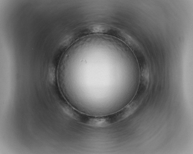 X0000110910554200906251400