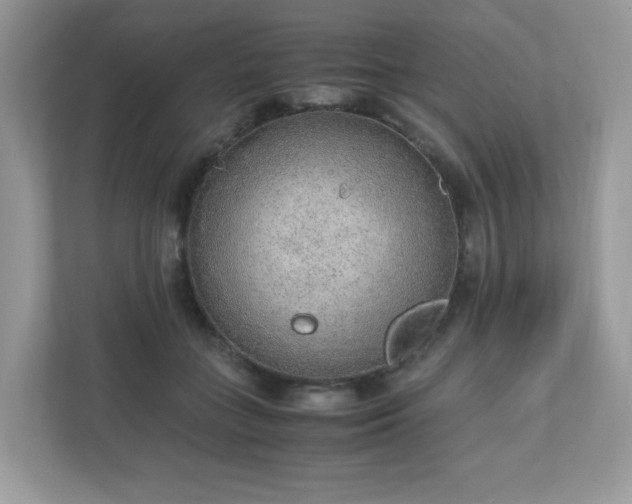 X0000110910555200906251400