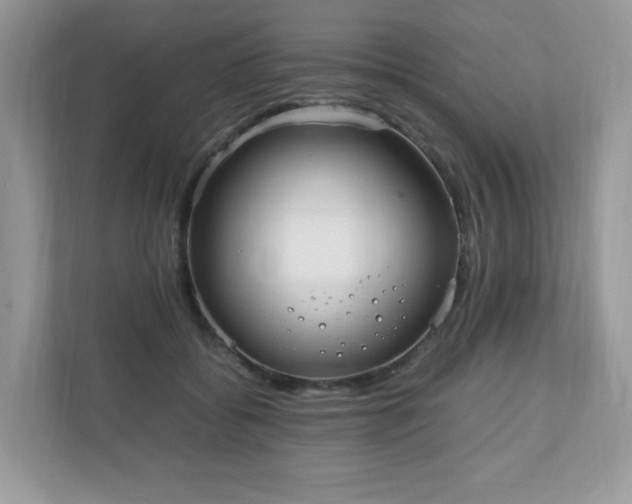 X0000110910556200906251400