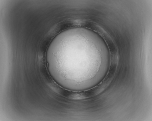 X0000110910557200906251400