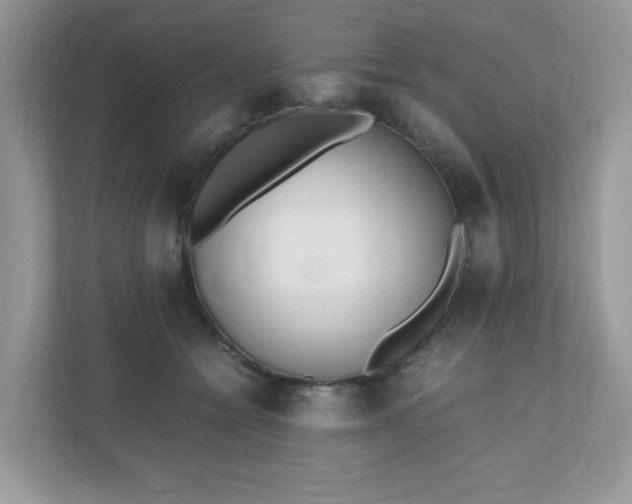 X0000110910558200906251400