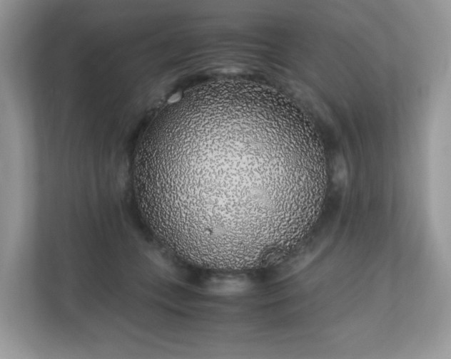 X0000110910559200906251400