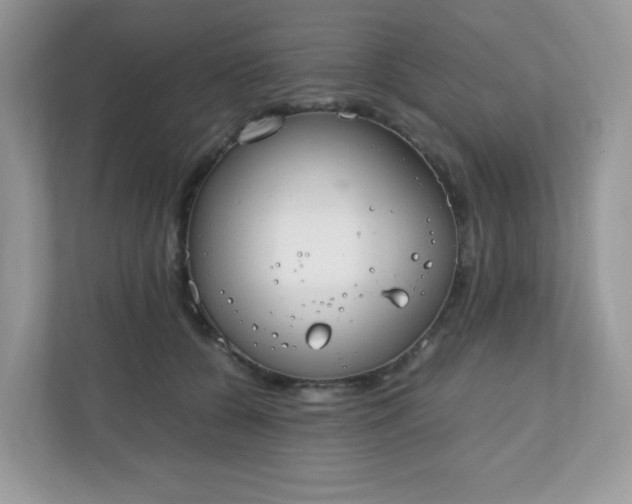 X0000110910560200906251400