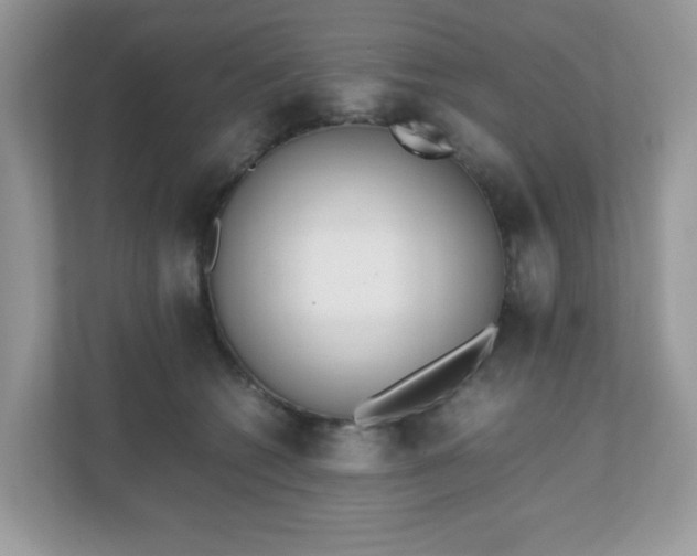 X0000110910562200906251400