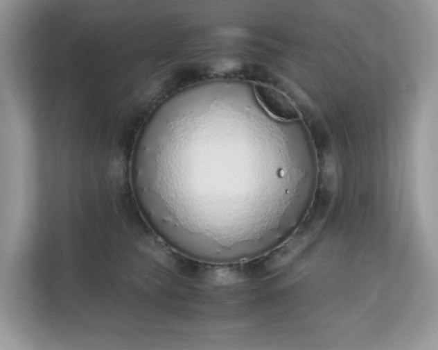 X0000110910565200906251400