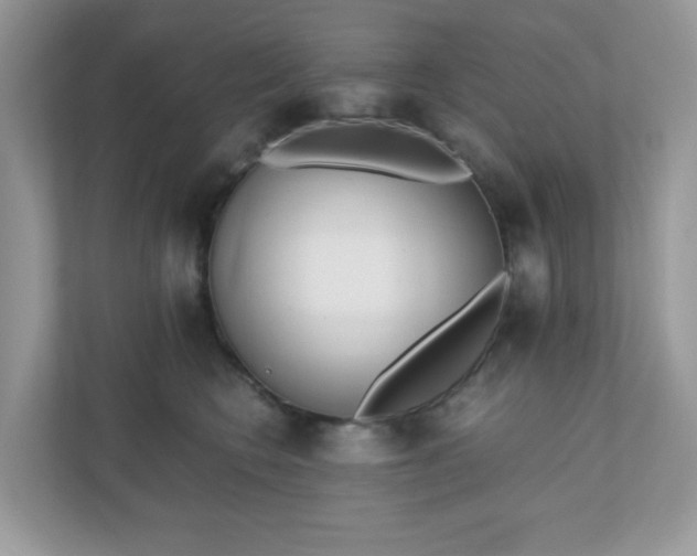 X0000110910566200906251400