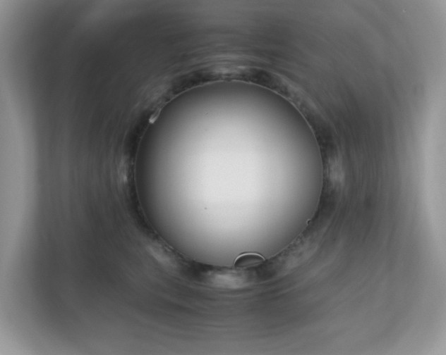 X0000110910567200906251400