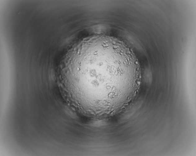 X0000110910569200906251400