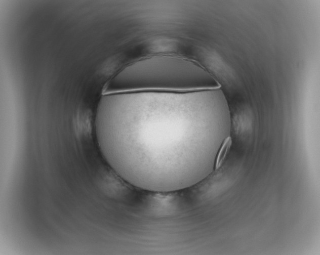 X0000110910570200906251400