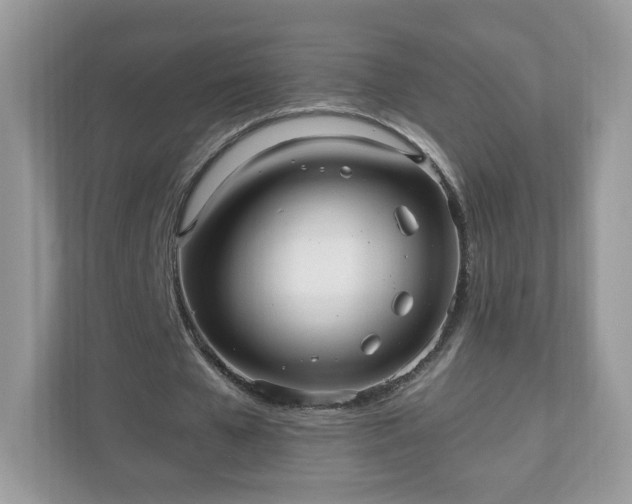 X0000110910577200906251359