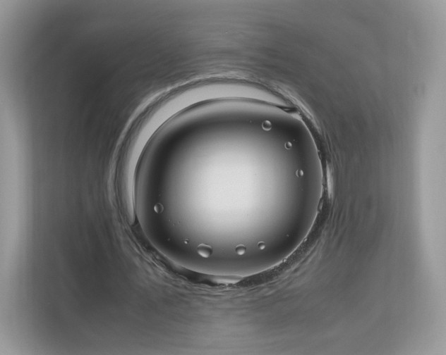 X0000110910579200906251359