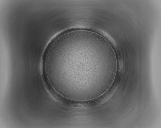 X0000110910580200906251359