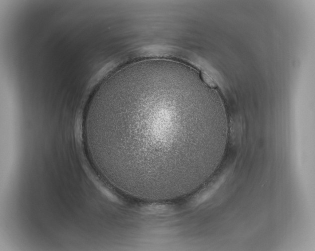 X0000110910581200906251359