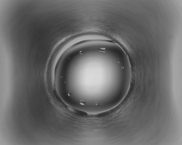 X0000110910583200906251359