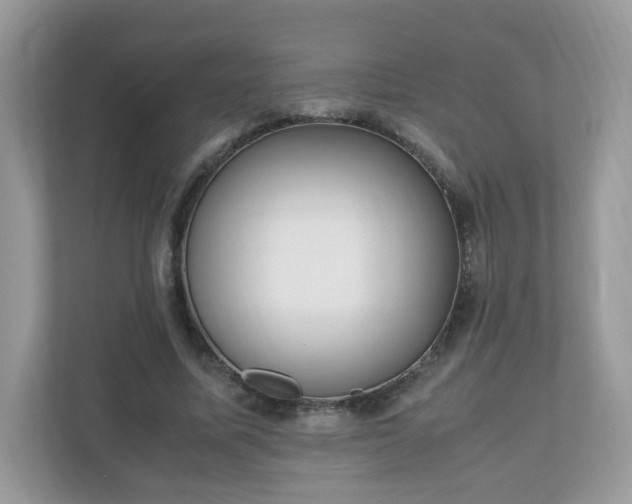 X0000110910587200906251359