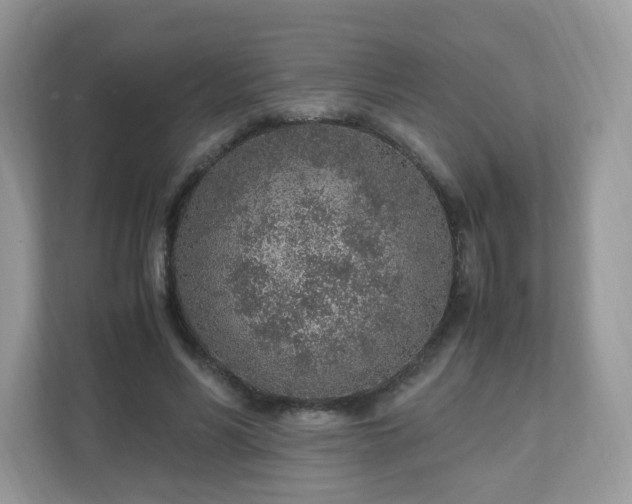 X0000110910590200906251359