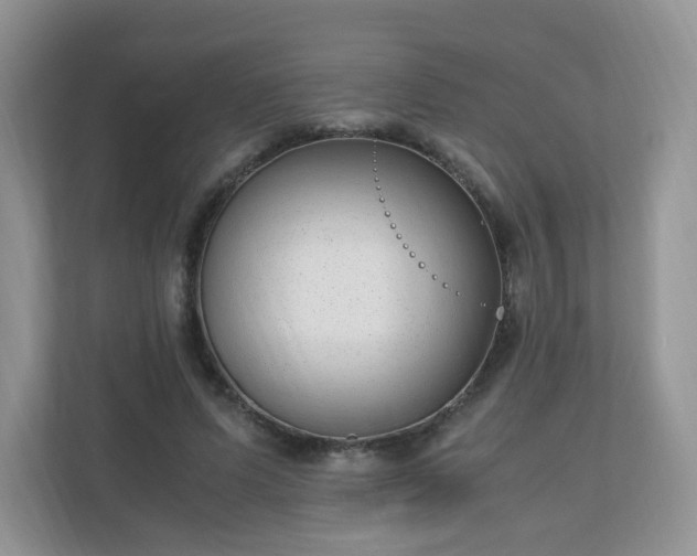 X0000110910591200906251359