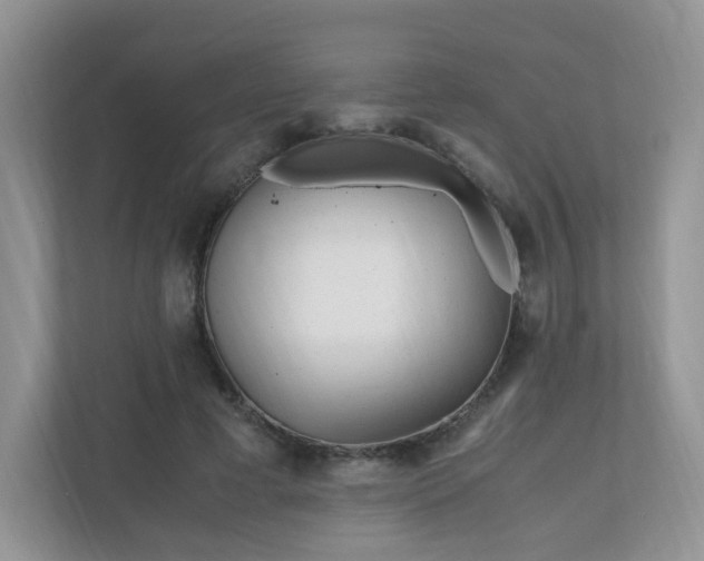 X0000110910593200906251359