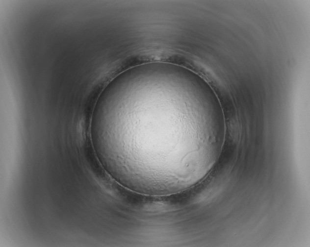 X0000110910594200906251359