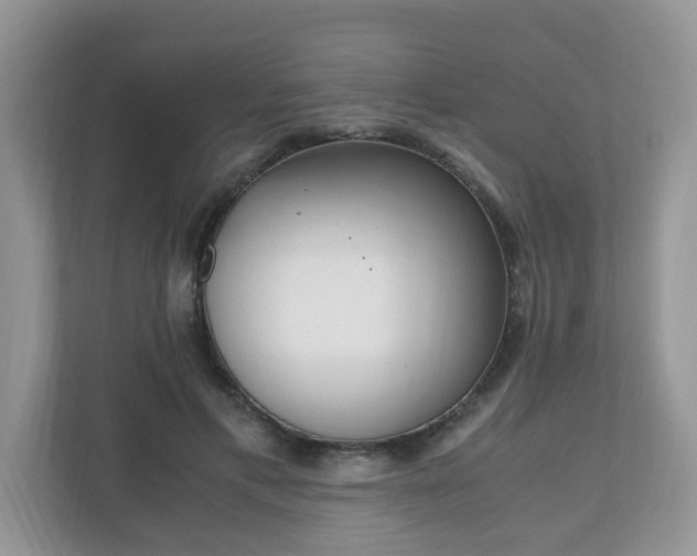 X0000110910597200906251359