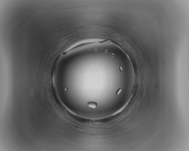 X0000110910599200906251359