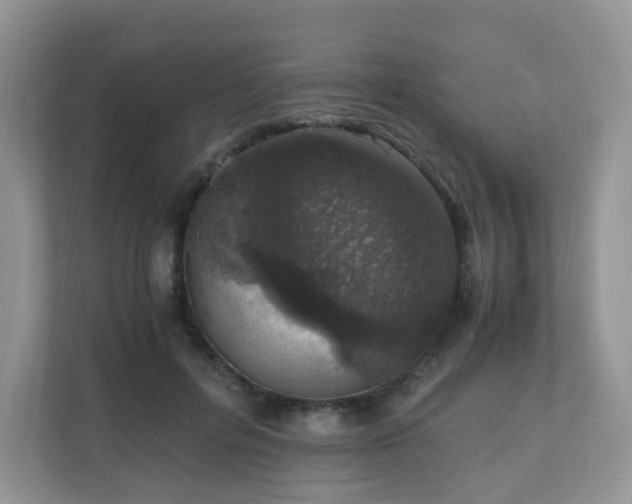 X0000110910600200906251359