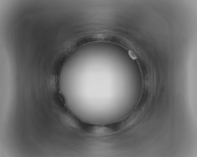 X0000110910605200906251359