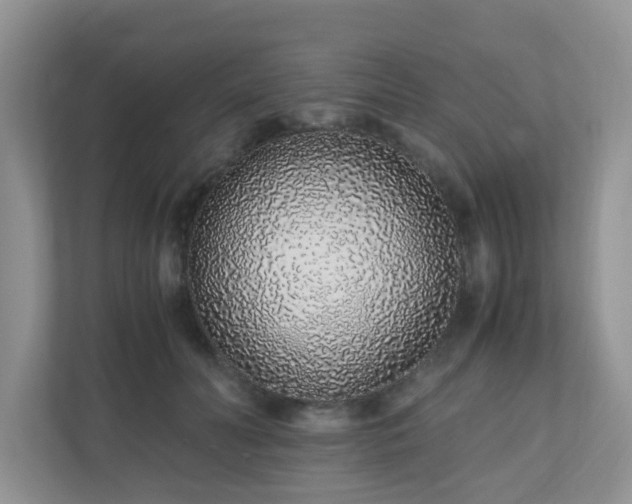 X0000110910606200906251359