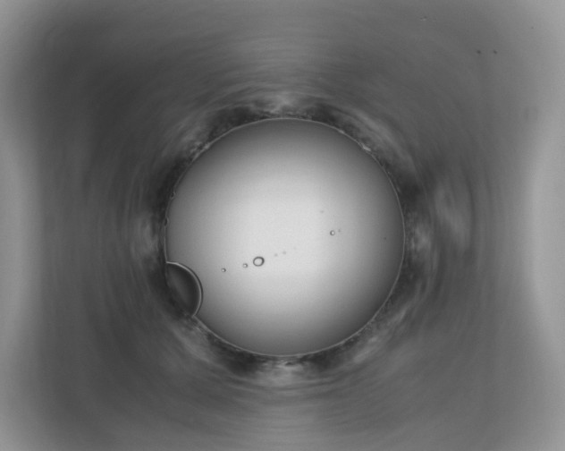 X0000110910607200906251359