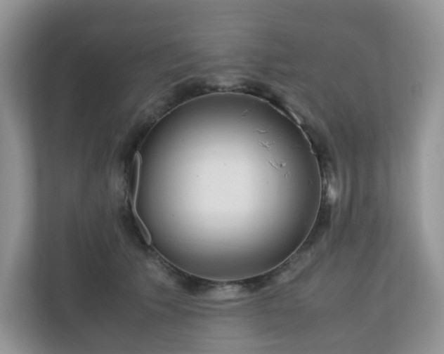 X0000110910609200906251359