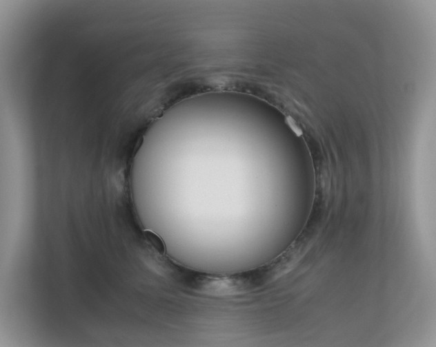 X0000110910611200906251359