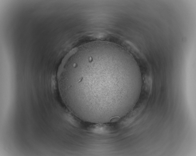 X0000110910612200906251359