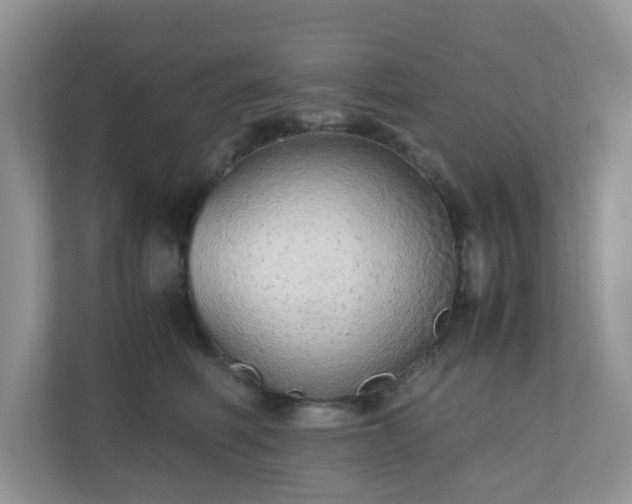 X0000110910614200906251359