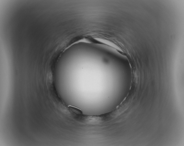 X0000110910617200906251359