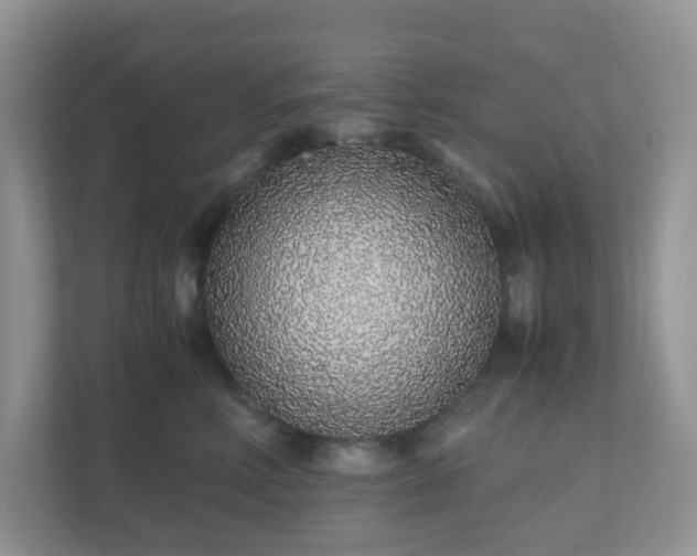 X0000110910618200906251359