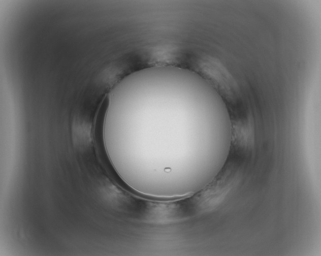 X0000110910621200906251359