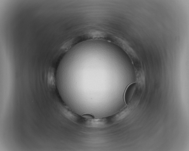 X0000110910622200906251359