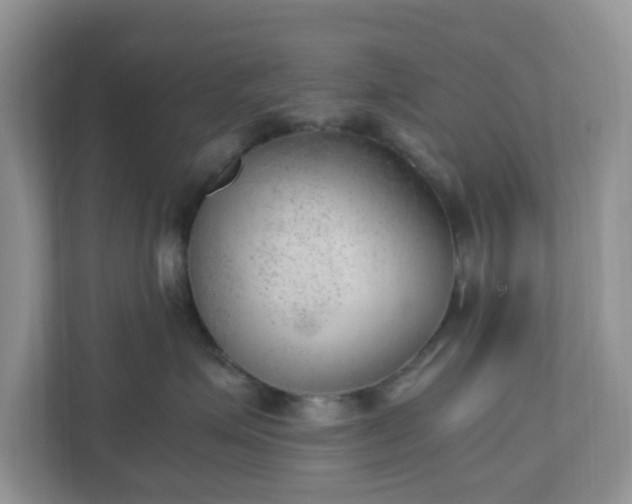 X0000110910623200906251359