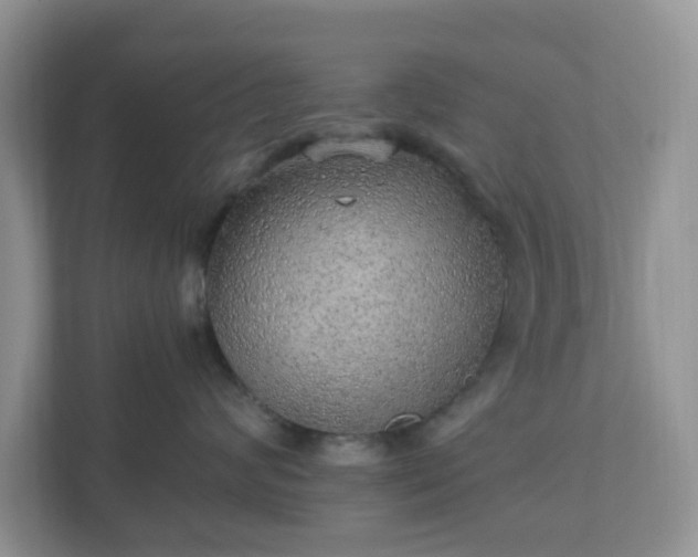 X0000110910624200906251359