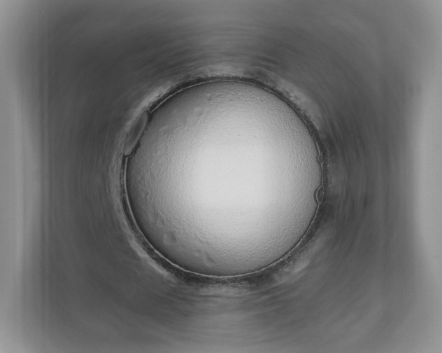 X0000110910625200906251358