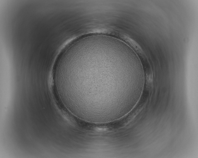 X0000110910628200906251358