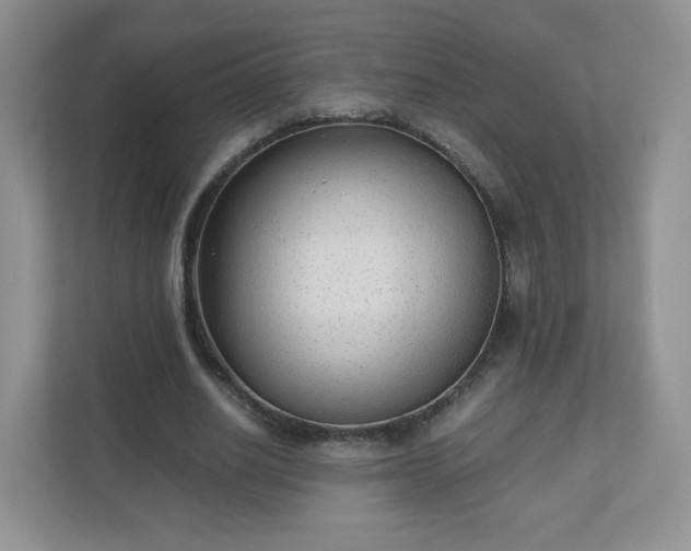 X0000110910630200906251358