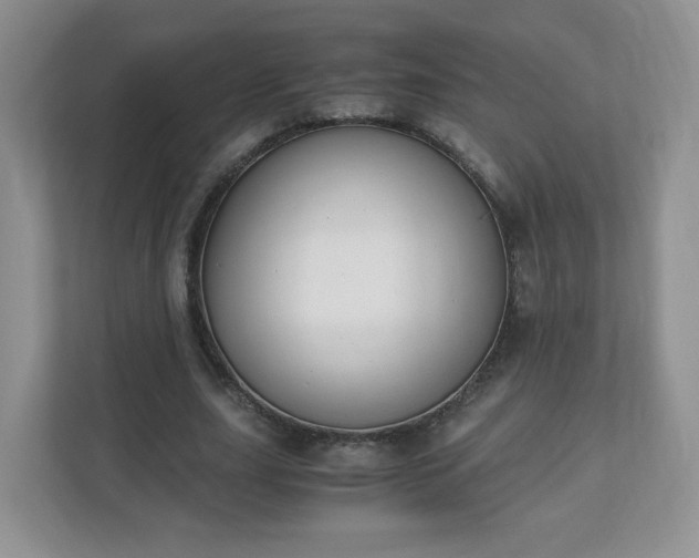 X0000110910631200906251358