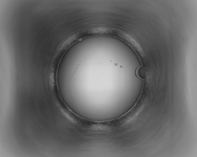 X0000110910633200906251358