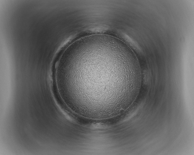 X0000110910634200906251358